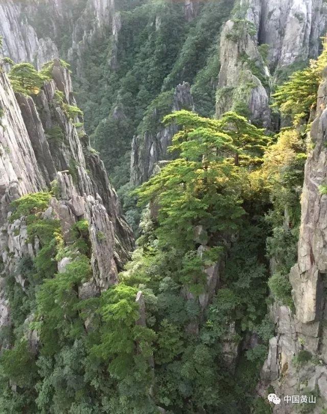 解疑答惑,尽在别人家的孩子被其母亲殴打,我该干什么?交流平台
