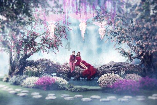 春雨直播app